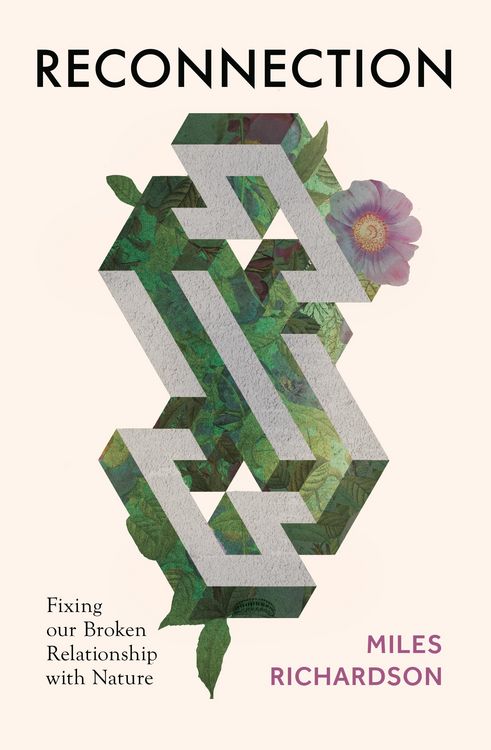 Produktbild: Reconnection
