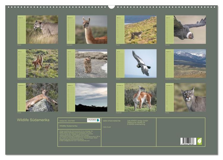 Produktbild: Wildlife S&uuml;damerika (Wandkalender 2027 DIN A2 quer), CALVENDO Monatskalender