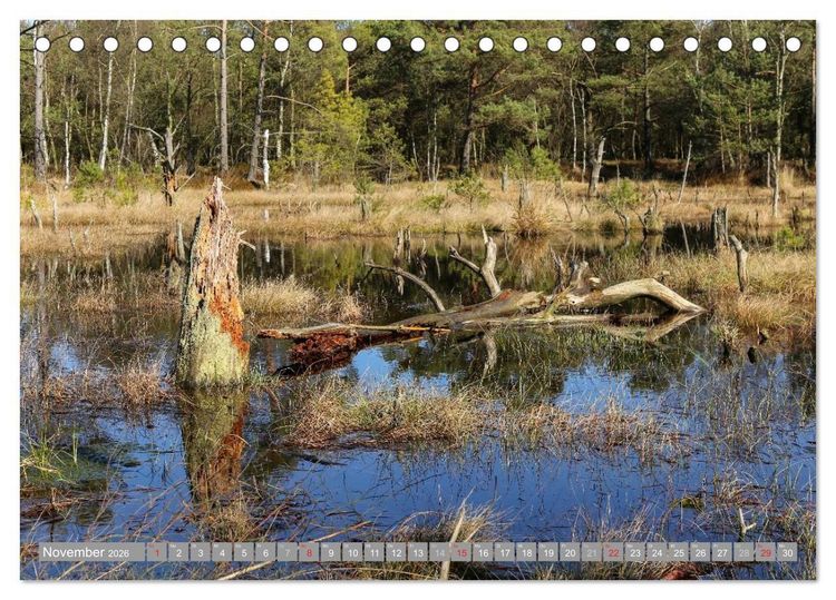 Produktbild: Pietzmoor - ein Hochmoor in der L&uuml;neburger Heide (Tischkalender 2026 DIN A5 quer), CALVENDO Monatskalender