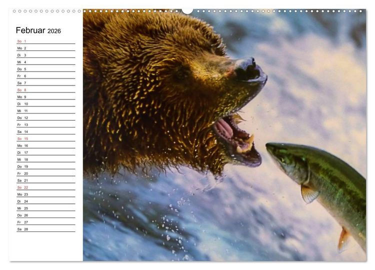 Produktbild: Alaska und Kanada (Wandkalender 2026 DIN A2 quer), CALVENDO Monatskalender