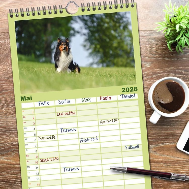 Produktbild: Familienplaner 2026 - Collies - charmante Herzensbrecher mit 5 Spalten (Wandkalender, 21 x 45 cm) CALVENDO