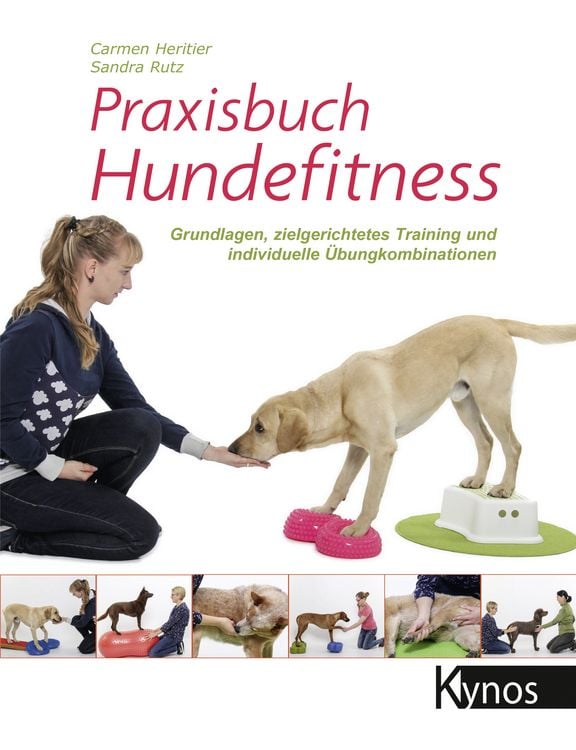 Produktbild: Praxisbuch Hundefitness