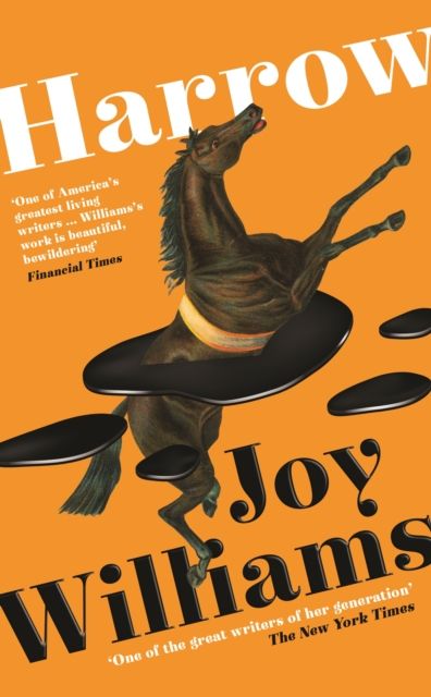 Produktbild: Williams, J: Harrow