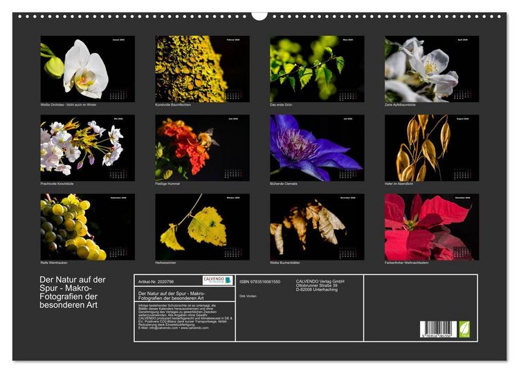 Produktbild: Der Natur auf der Spur - Makro-Fotografien der besonderen Art (Wandkalender 2026 DIN A2 quer), CALVENDO Monatskalender