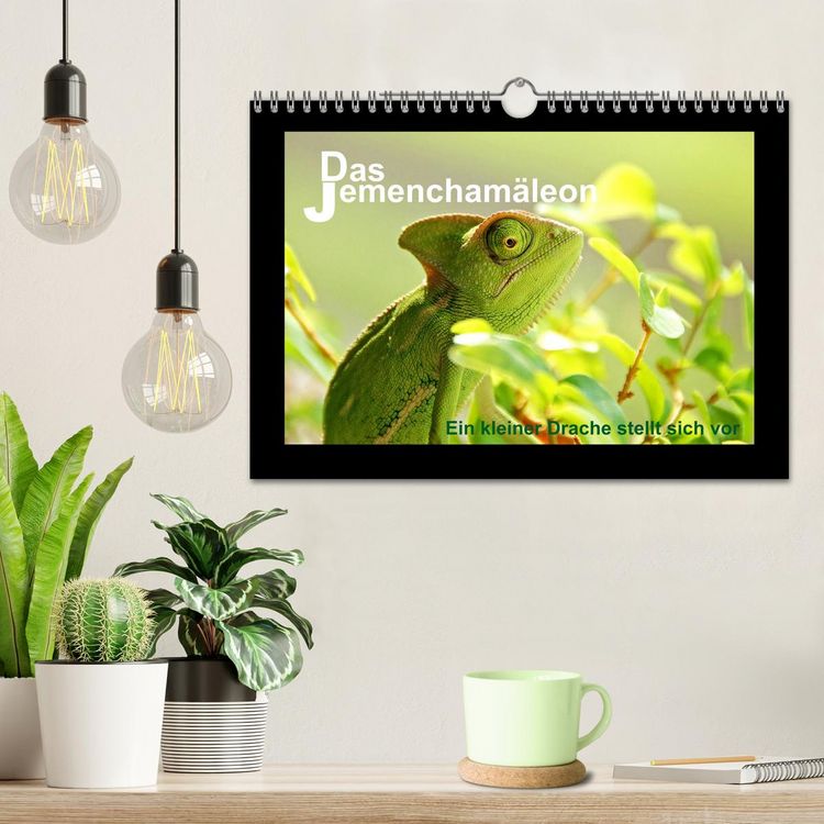 Produktbild: Das Jemencham&auml;leon (Wandkalender 2026 DIN A4 quer), CALVENDO Monatskalender