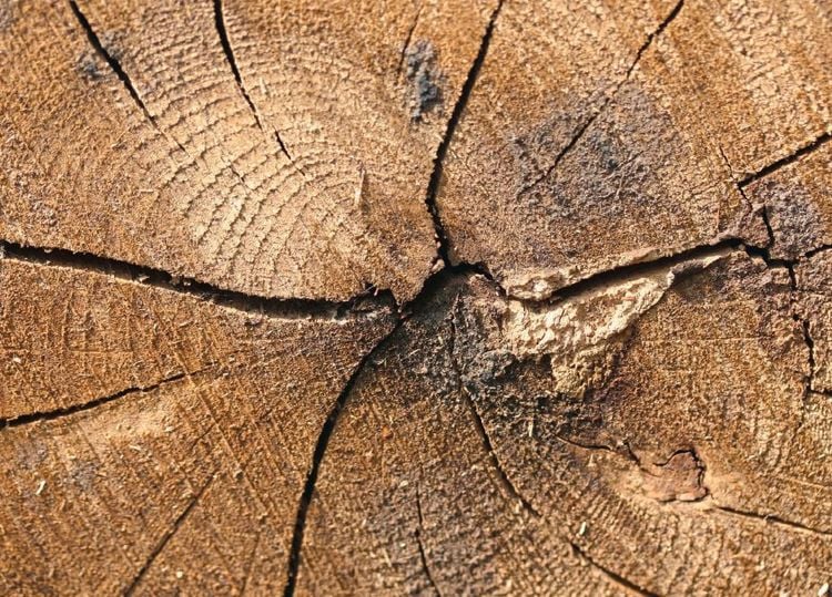 Produktbild: Foto-Bildkarten Stressmanagement