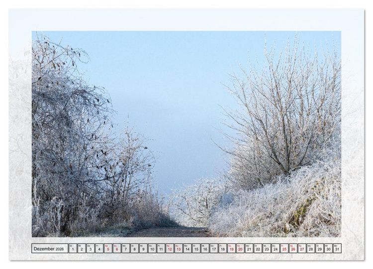 Produktbild: Jeden Monat in der Natur (Wandkalender 2026 DIN A2 quer), CALVENDO Monatskalender