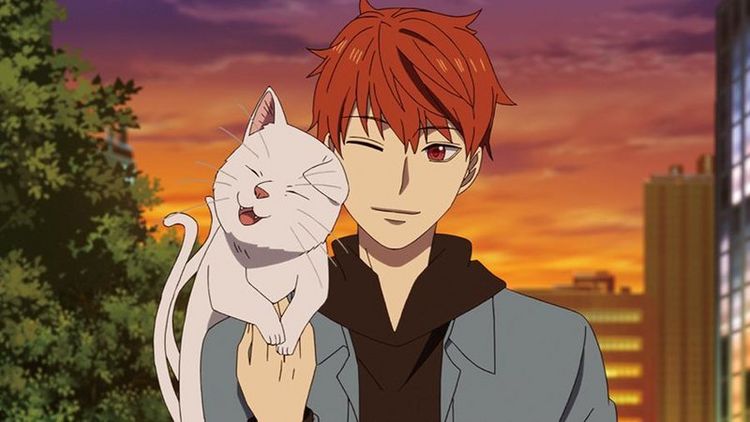 Produktbild: Midnight Occult Civil Servants - Volume 2 (Ep. 5-8)