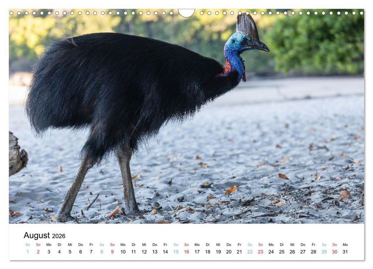 Produktbild: Australiens wunderbare Tiere (Wandkalender 2026 DIN A3 quer), CALVENDO Monatskalender