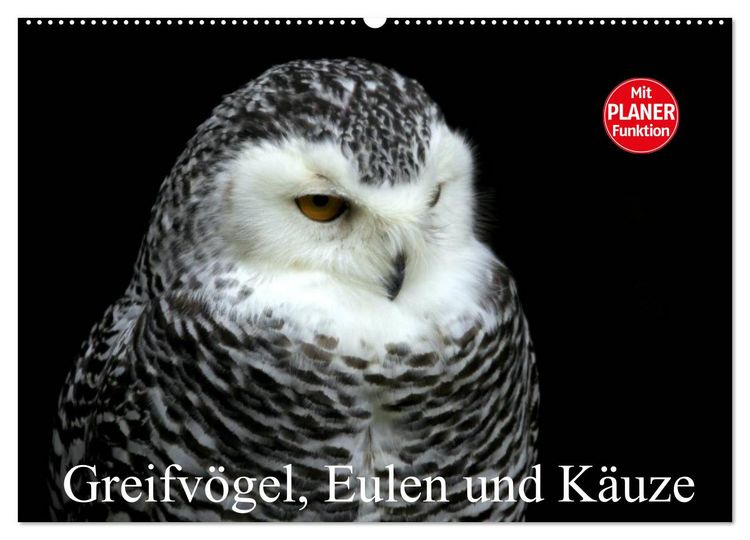 Produktbild: Greifv&ouml;gel, Eulen und K&auml;uze (Wandkalender 2026 DIN A2 quer), CALVENDO Monatskalender