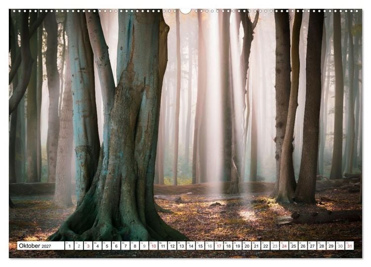 Produktbild: Traumhaftes Mecklenburg-Vorpommern (Wandkalender 2027 DIN A2 quer), CALVENDO Monatskalender