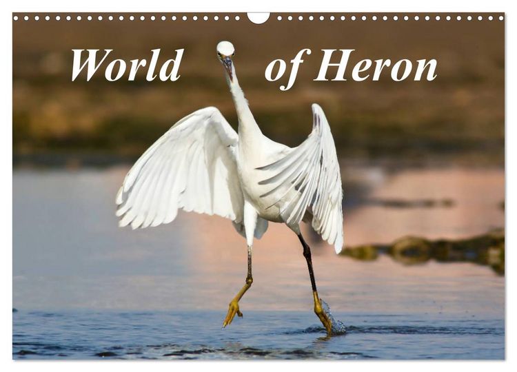 Produktbild: World of Heron (Wall Calendar 2026 DIN A3 landscape), CALVENDO 12 Month Wall Calendar