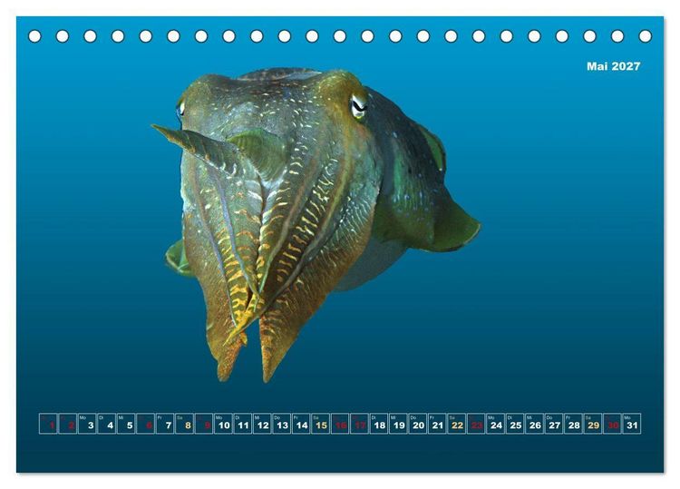 Produktbild: Unterwasser-Galerie (Tischkalender 2027 DIN A5 quer), CALVENDO Monatskalender