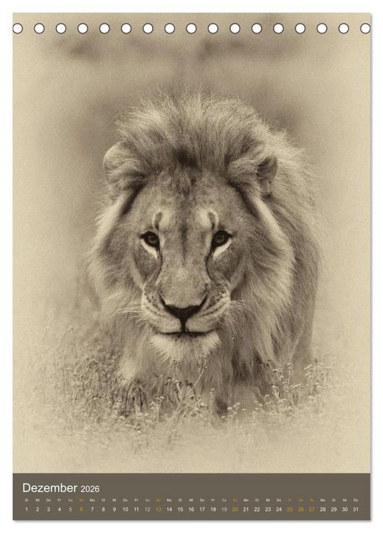Produktbild: Afrikas Tierwelt - Sepia-Art (Tischkalender 2026 DIN A5 hoch), CALVENDO Monatskalender