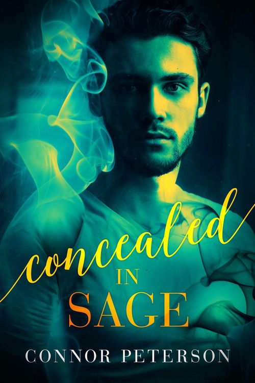 Produktbild: Concealed in Sage (Nightbreak, #2)