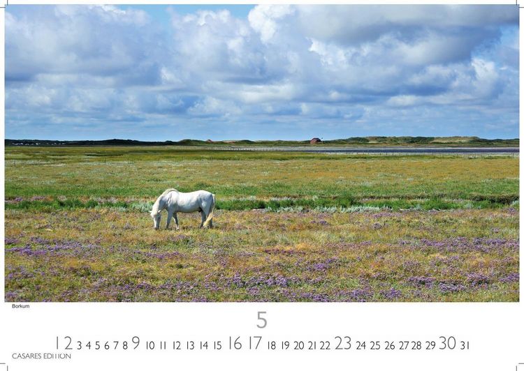 Produktbild: Nordseek&uuml;ste Kalender 2027 &ndash; Wandkalender | Fotokalender Deutschland 35x24cm | in 12 eindrucksvollen Bildern &ndash; Natur, Gezeiten, Strand und weite Horizonte