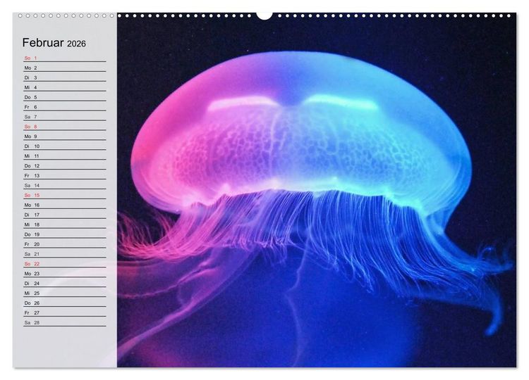 Produktbild: Quallen. &Auml;therische Wunderwesen (hochwertiger Premium Wandkalender 2026 DIN A2 quer), Kunstdruck in Hochglanz
