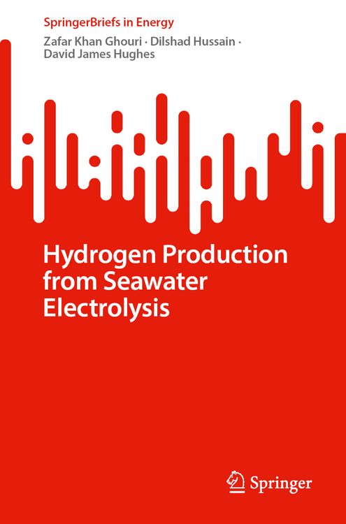 Produktbild: Hydrogen Production from Seawater Electrolysis