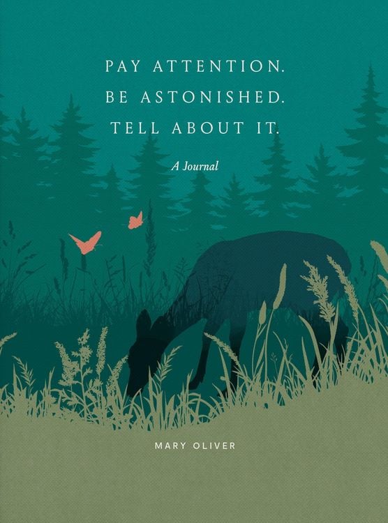 Produktbild: Pay Attention. Be Astonished. Tell about It.