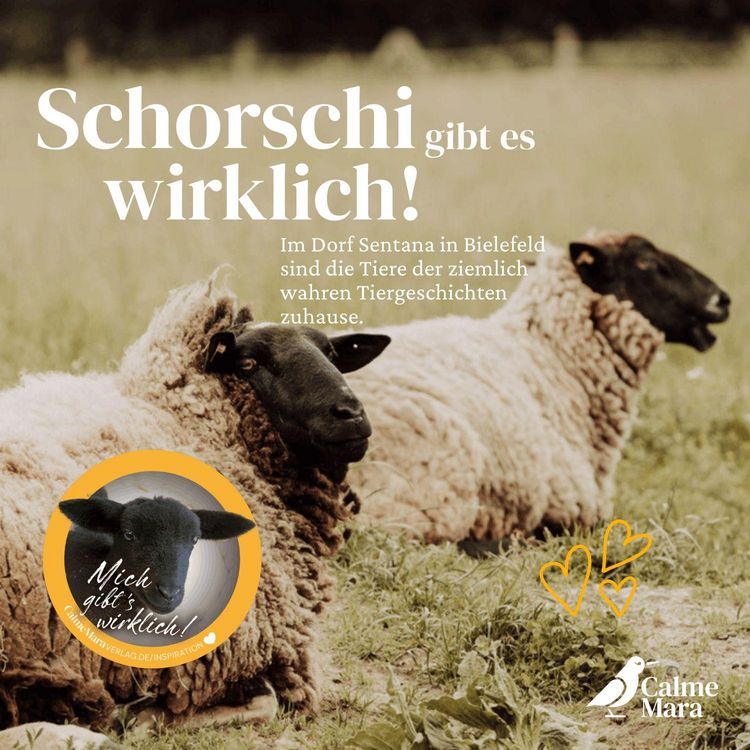 Produktbild: Schorschi und das bunte Familiending