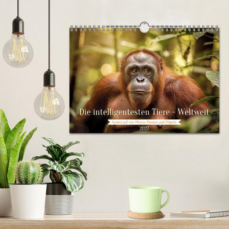 Produktbild: Die intelligentesten Tiere - Weltweit (Wandkalender 2027 DIN A4 quer), CALVENDO Monatskalender