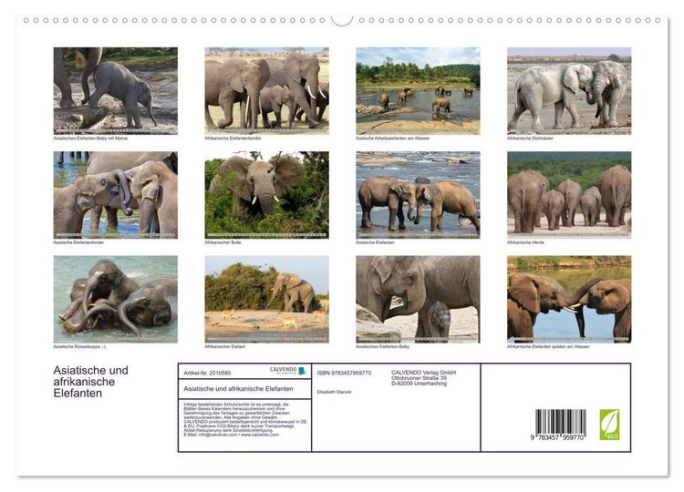 Produktbild: Asiatische und afrikanische Elefanten (hochwertiger Premium Wandkalender 2026 DIN A2 quer), Kunstdruck in Hochglanz