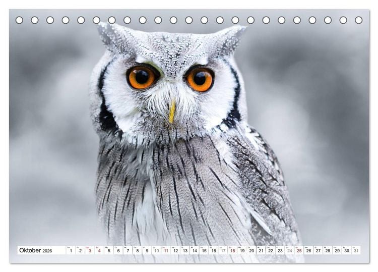 Produktbild: Erfolgreiche J&auml;ger (Tischkalender 2026 DIN A5 quer), CALVENDO Monatskalender