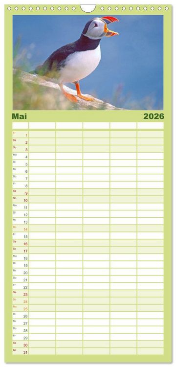 Produktbild: Familienplaner 2026 - Papageitaucher - Clowns der nordischen Vogelwelt mit 5 Spalten (Wandkalender, 21 x 45 cm) CALVENDO