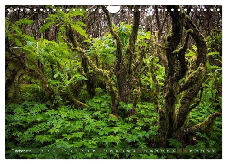 Produktbild: La Gomera - Vielseitige Insel (Wandkalender 2026 DIN A4 quer), CALVENDO Monatskalender