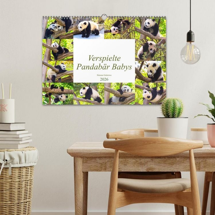 Produktbild: Pandab&auml;r Babys (Wandkalender 2026 DIN A3 quer), CALVENDO Monatskalender