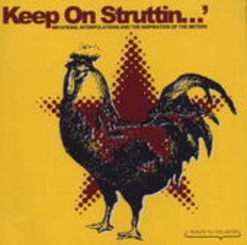 Produktbild: Keep On Struttin (Meters Tribute)