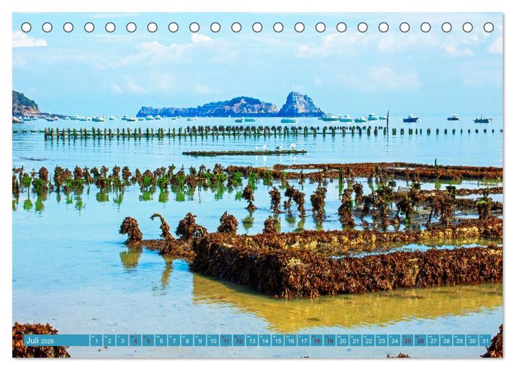 Produktbild: Ausblicke am Meer in der Bretagne und Normadie (Tischkalender 2026 DIN A5 quer), CALVENDO Monatskalender