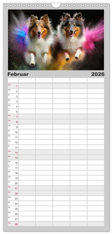 Produktbild: Familienplaner 2026 - Holi Pulver - Doppelte Action mit 5 Spalten (Wandkalender, 21 x 45 cm) CALVENDO