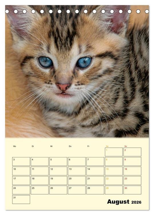 Produktbild: K&auml;tzchen - Theater (Tischkalender 2026 DIN A5 hoch), CALVENDO Monatskalender