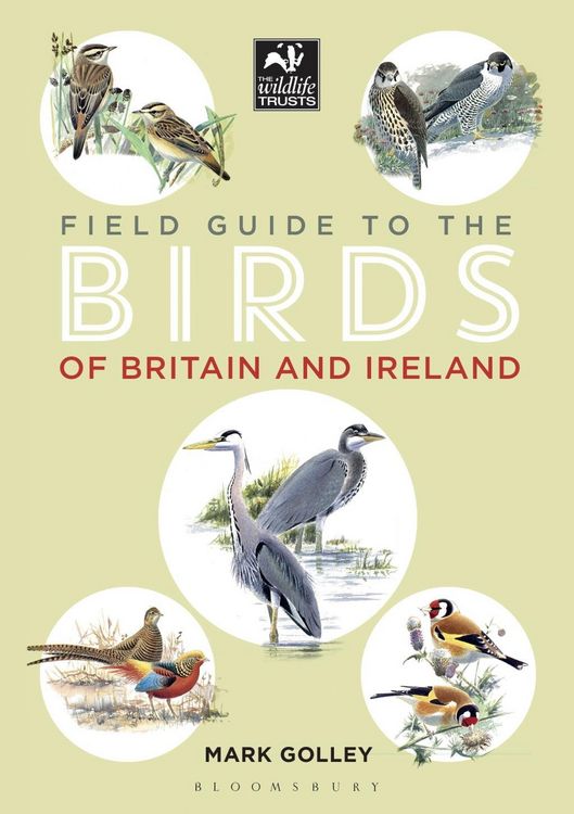 Produktbild: Field Guide to the Birds of Britain and Ireland