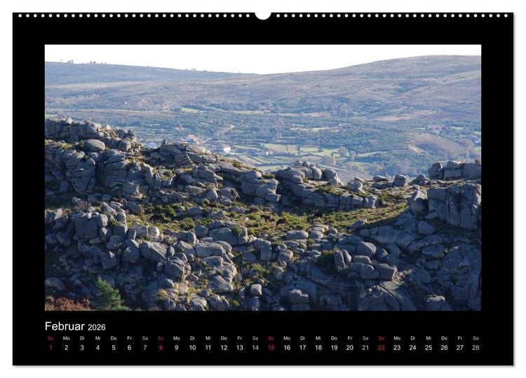 Produktbild: Garranos - Bedrohte Wildpferde Europas (hochwertiger Premium Wandkalender 2026 DIN A2 quer), Kunstdruck in Hochglanz