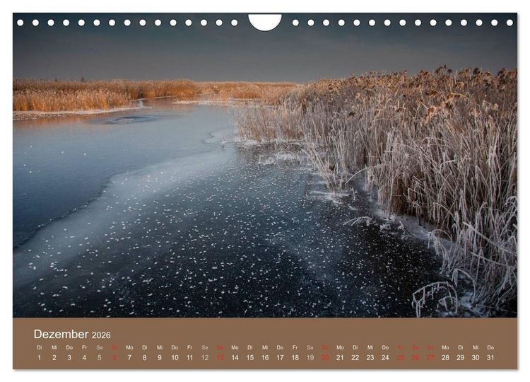 Produktbild: Der Federsee - Vogelparadies in Oberschwaben (Wandkalender 2026 DIN A4 quer), CALVENDO Monatskalender