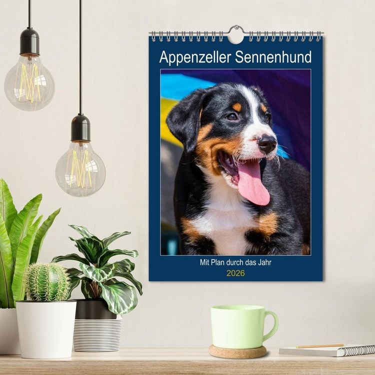 Produktbild: Appenzeller Sennenhund - Mit Plan durch das Jahr (Wandkalender 2026 DIN A4 hoch), CALVENDO Monatskalender