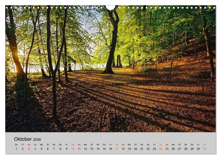 Produktbild: Joachimsthal am Rand der Schorfheide (Wandkalender 2026 DIN A3 quer), CALVENDO Monatskalender