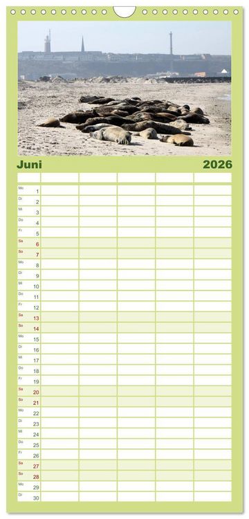 Produktbild: Familienplaner 2026 - Helgoland mit 5 Spalten (Wandkalender, 21 x 45 cm) CALVENDO