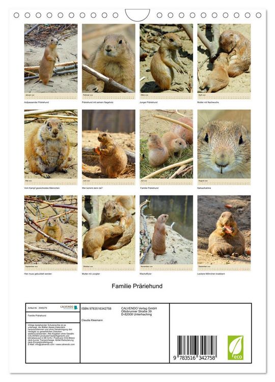 Produktbild: Familie Pr&auml;riehund (Wandkalender 2026 DIN A4 hoch), CALVENDO Monatskalender