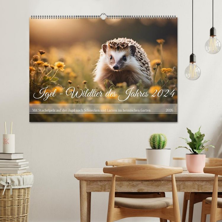 Produktbild: Igel - Wildtier des Jahres 2024 (Wandkalender 2026 DIN A2 quer), CALVENDO Monatskalender