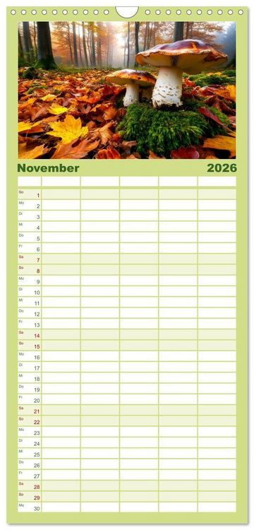 Produktbild: Familienplaner 2026 - Mystik der W&auml;lder mit 5 Spalten (Wandkalender, 21 x 45 cm) CALVENDO