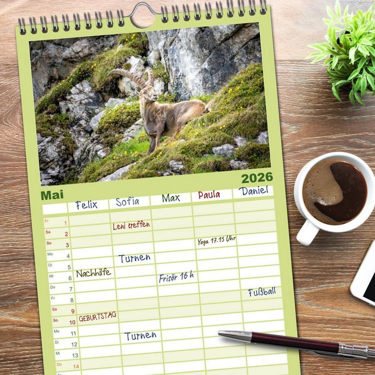 Produktbild: Familienplaner 2026 - Steinb&ouml;cke - Majest&auml;tische Tiere der Alpen mit 5 Spalten (Wandkalender, 21 x 45 cm) CALVENDO