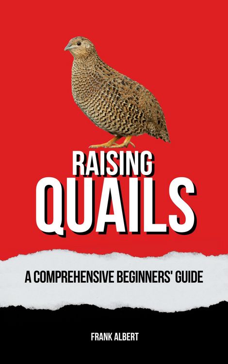 Produktbild: Raising Quails: A Comprehensive Beginners' Guide