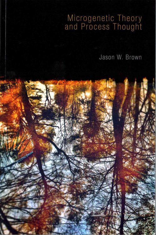Produktbild: Microgenetic Theory and Process Thought