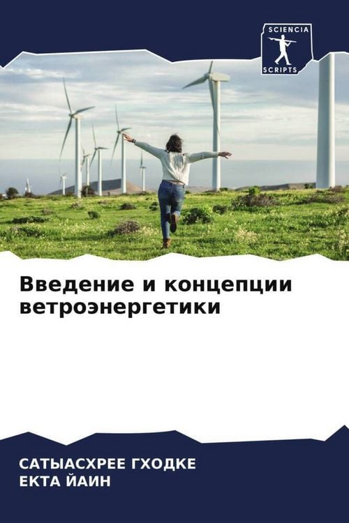 Produktbild: Vwedenie i koncepcii wetro&auml;nergetiki