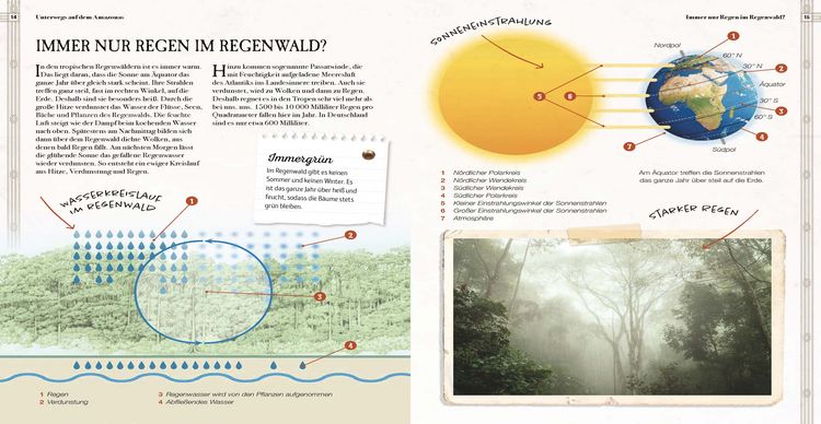 Produktbild: Verborgene Welt des Regenwaldes