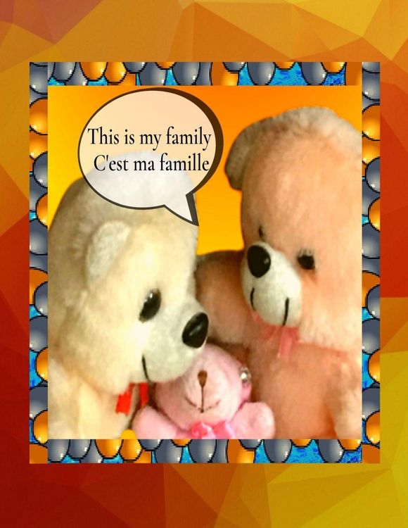 Produktbild: This is my family C'est ma famille