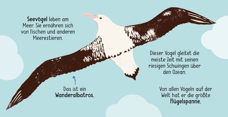 Produktbild: 50 W&ouml;rter &uuml;ber die Natur - V&ouml;gel